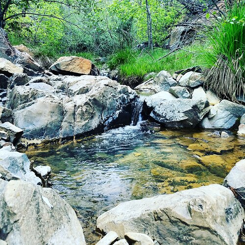 IMG_20180331_131317_830