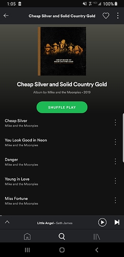 Screenshot_20200805-130533_Spotify