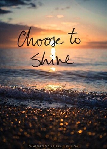 b4adc39c77801a5b176e0699e15f5588