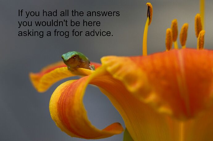 FrogAdvice