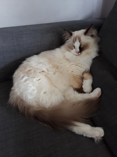 20180508_103229