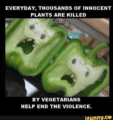 861e4b9a2db41799e4d4e68472e5cc3cca73ee0a8b3c24857d654e663656ace7_1