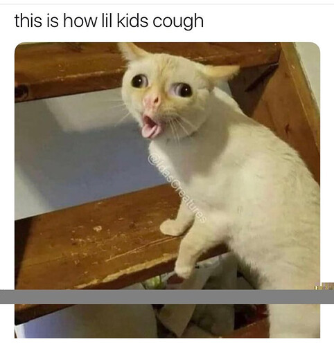 Screenshot_20181207-202803~2