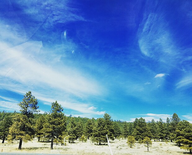 IMG_20180325_163538_096