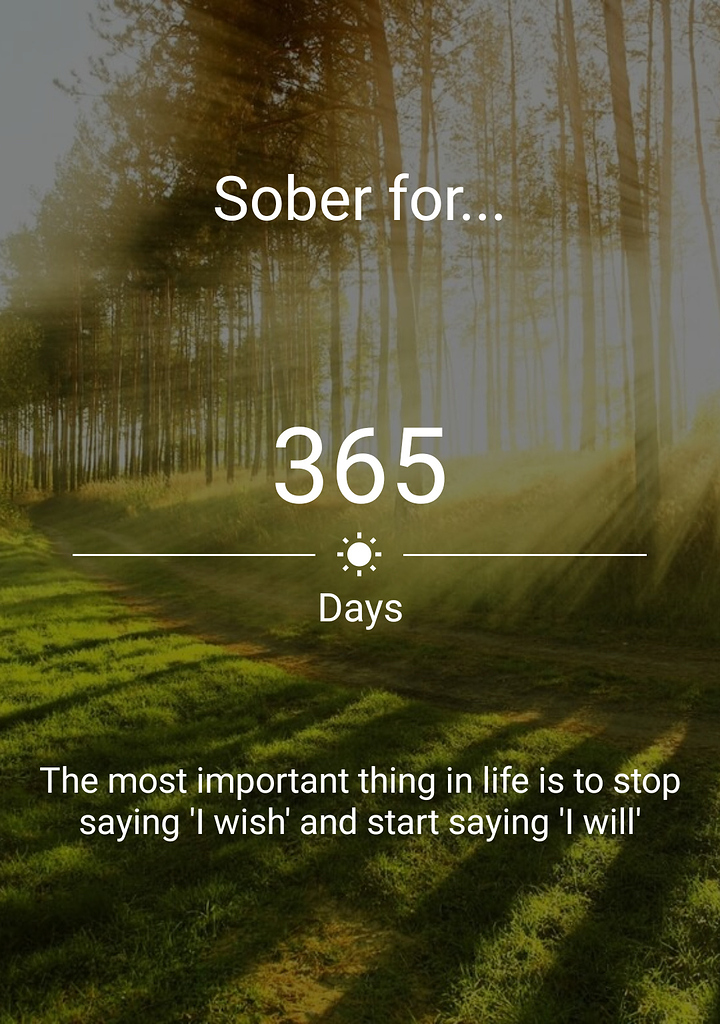 365 days sober Milestones Talking Sober Addiction Recovery Forum