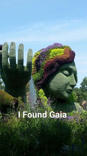 9bbaeaa82700200831a688e6d4980ebb