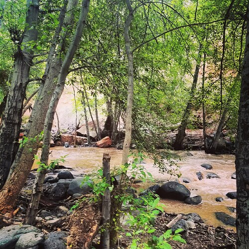 IMG_20180331_131005_686