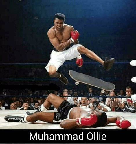 eb6323cb-2b8b-4bb3-8664-5600920dc51d