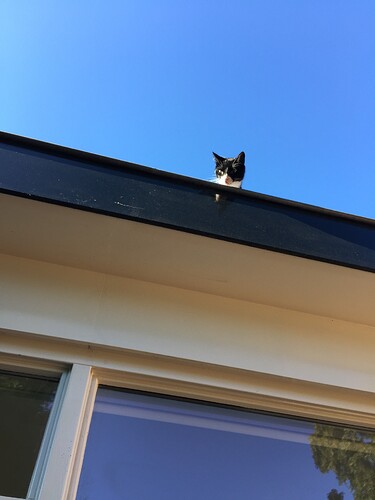 9027218D-542D-4936-9604-54FFC5432FCA