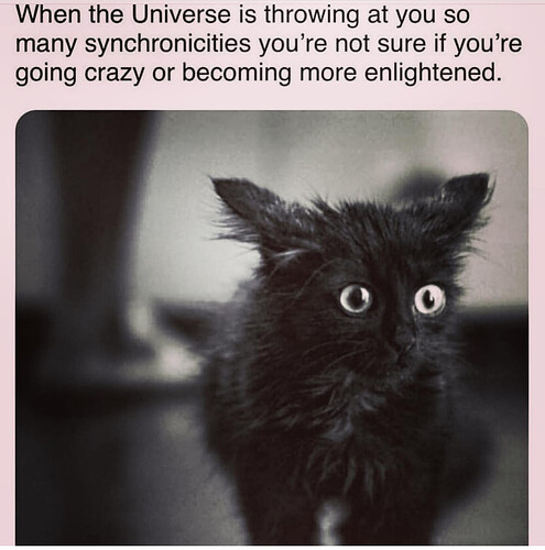 Screenshot_20181210-210442~2