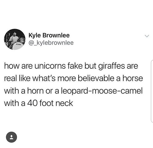 Screenshot_20181206-223740_Instagram