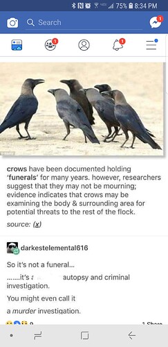 Screenshot_20181210-203445_Facebook