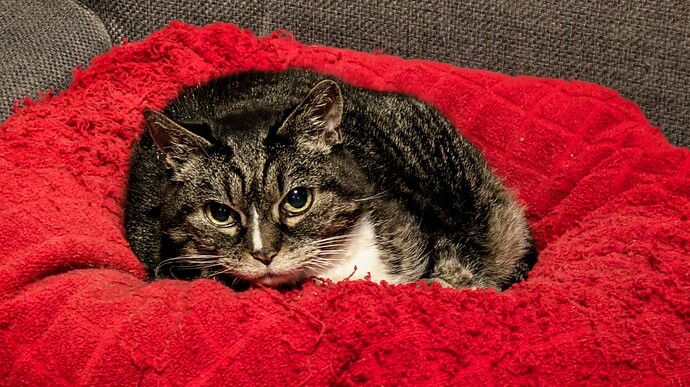 PXL_20250120_065840725