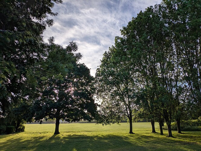 PXL_20250528_053241435.MP