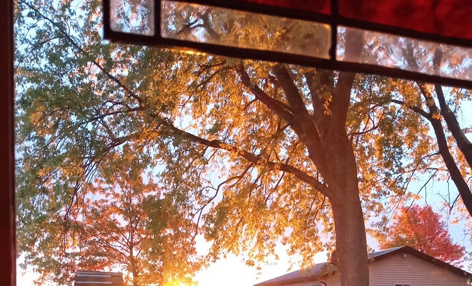 IMG_20251016_071917907