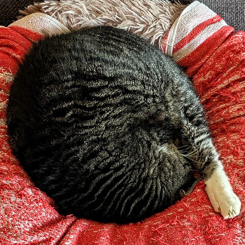 PXL_20250303_143436412.PORTRAIT