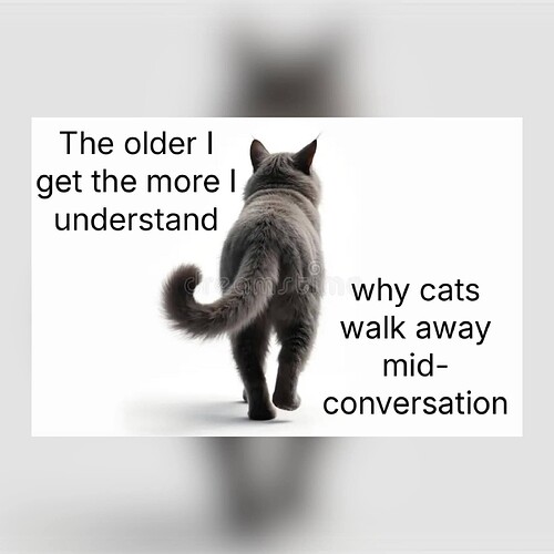 FB_IMG_1782151558727