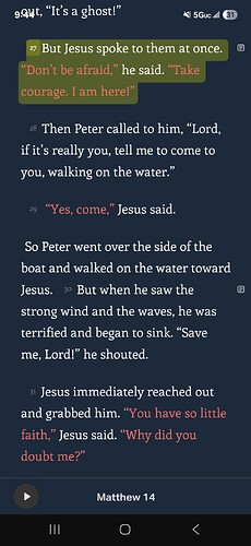 Screenshot_20250917_214436_Bible