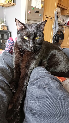 IMG_20250216_121836_814~2