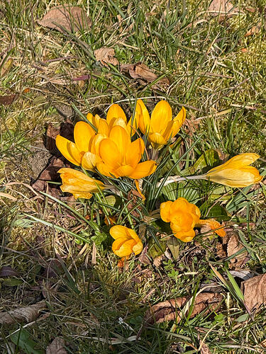 IMG_0605