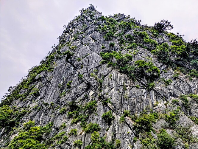 PXL_20251103_012443056.MP~2