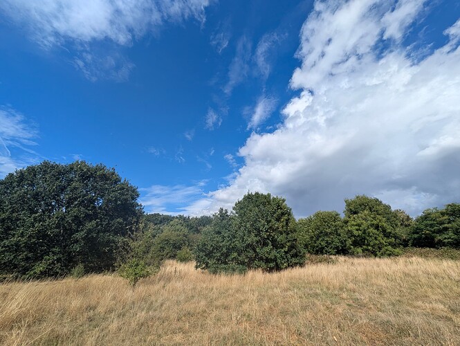 PXL_20250828_131035990