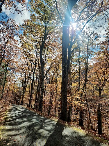 AirBrush_20251026115723