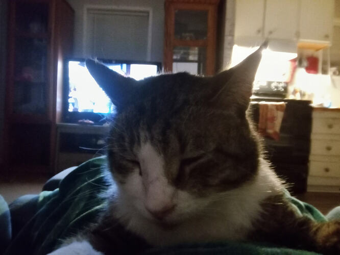 IMG_20260203_182551857