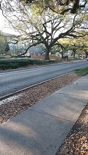 IMG020250310_082224