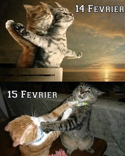 FB_IMG_1771084542423