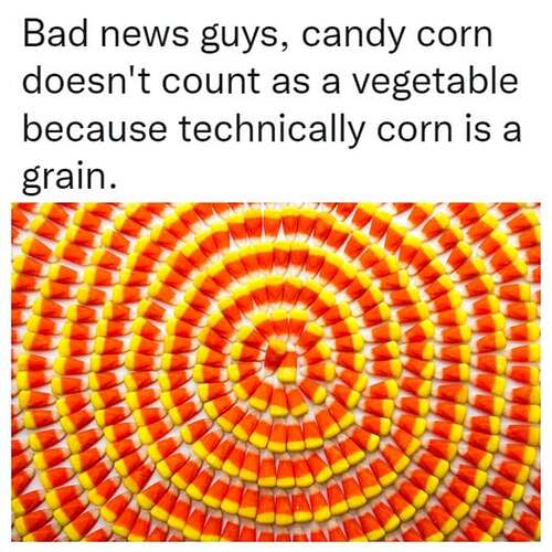 545578656_802731115450250_5111237904615494788_n