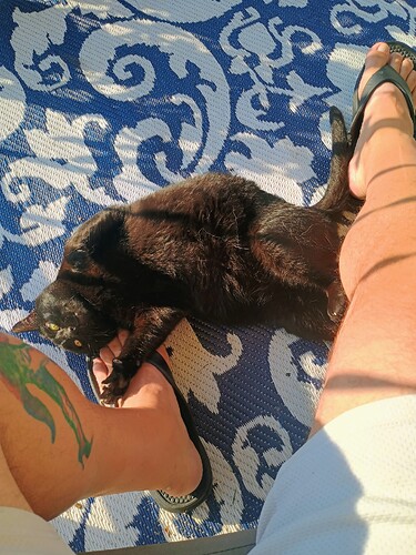 IMG_20250723_080751608_HDR_AE