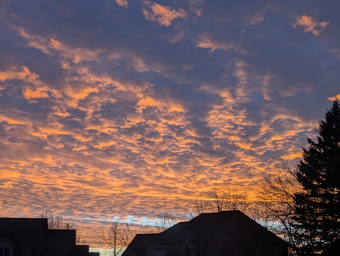 PXL_20251123_221139001