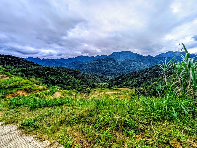 PXL_20251105_071243169~2