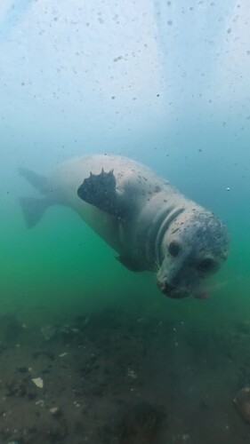 08513489053ae659db3851f123786a53_208241.36666666667_1764979027839