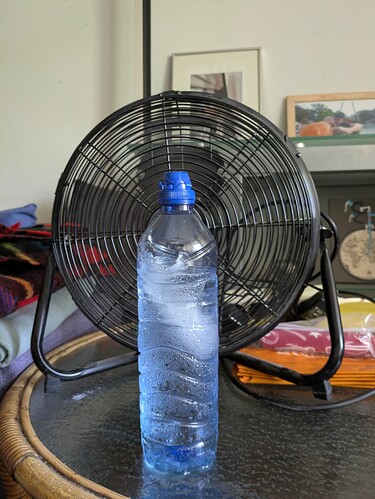 PXL_20250701_144029937