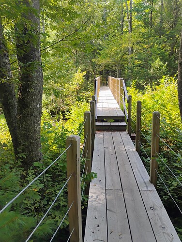 IMG_20250901_100815572_AE