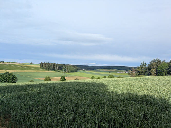 PXL_20260604_063109578