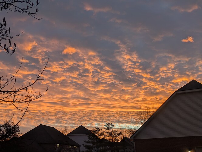 PXL_20251123_221244448