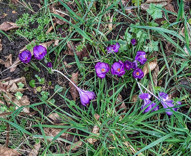 PXL_20260223_104611584~2