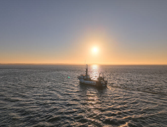 DJI_20260806195014_0015_D_16_D_17_D_18_D_19_D_20_D_21_D_Enhancer