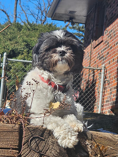 Resized_20260226_121155_173357725662722