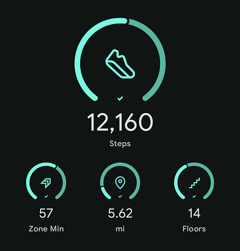 Screenshot_20260413-192933.Fitbit