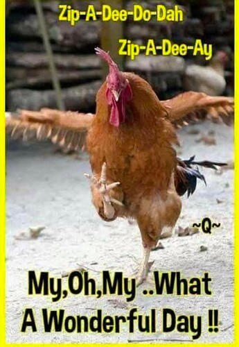 Screenshot_20250818-075032