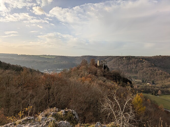 PXL_20251115_073631467