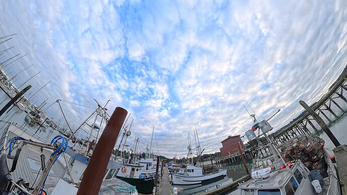 VID_20251211_083827_00_010_2026-02-01_13-21-24_screenshot