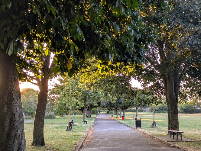 PXL_20250708_043104995~2