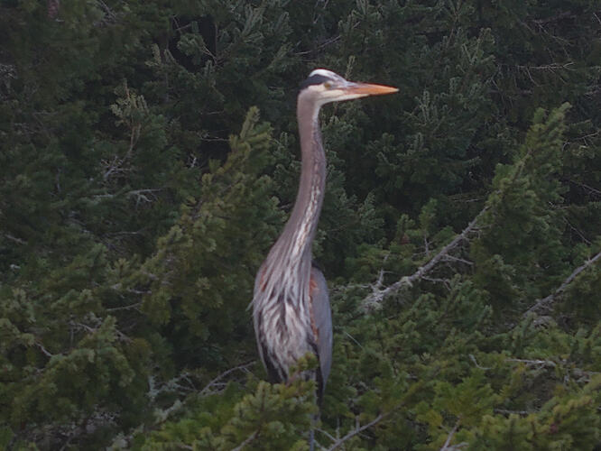 DJI_20260307165705_0420_D