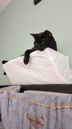 IMG_20250224_093826_076~2