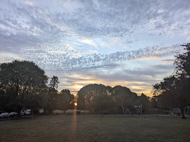 PXL_20250826_051736471